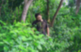 Padre de Familia se cuelga de un árbol en la Selva Maya de JMM