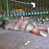 Vídeo: Ambulante é assassinada a tiros no Centro de Manaus