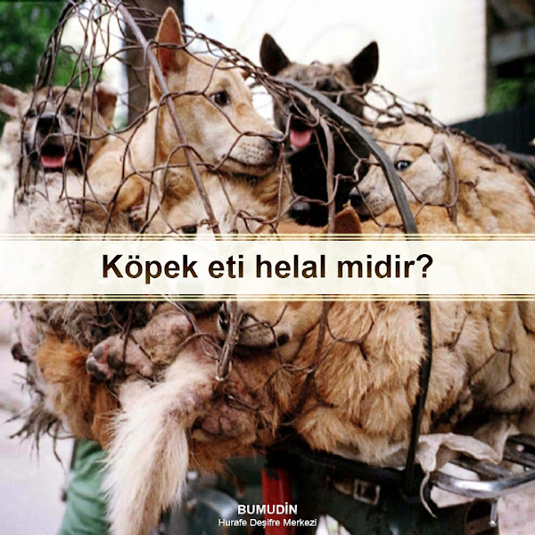 4 haram varsa köpek yenir mi? Bumudin