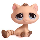 Littlest Pet Shop Dioramas Kitten (#563) Pet Littlest Pet Shop Dioramas Kitten (#563) Pet