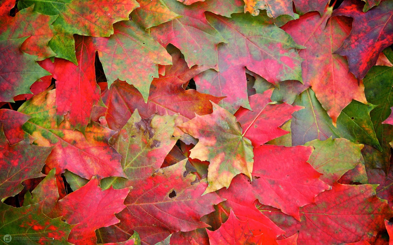 Beautiful Autumn Wallpapers Beautiful Autumn Wallpapers
