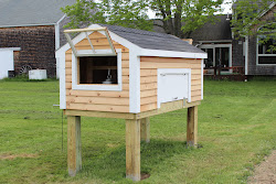 coop chicken chickens