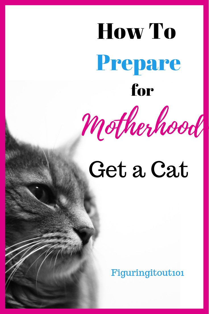 figuring-it-out-101-how-to-prepare-for-motherhood-get-a-cat