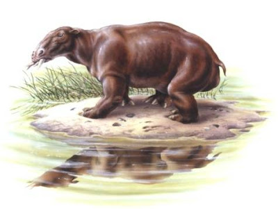 prehistoric mammals Desmostylus