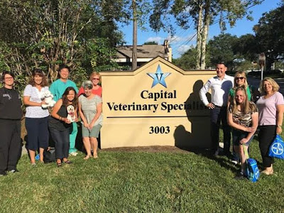 Pet parents are using Veterinary Specialists more and more for advanced pet veterinary care.   Dogs, Pet health, Advanced Veterinary care for pets
