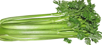 fresh-celery-green-vegetable-picture