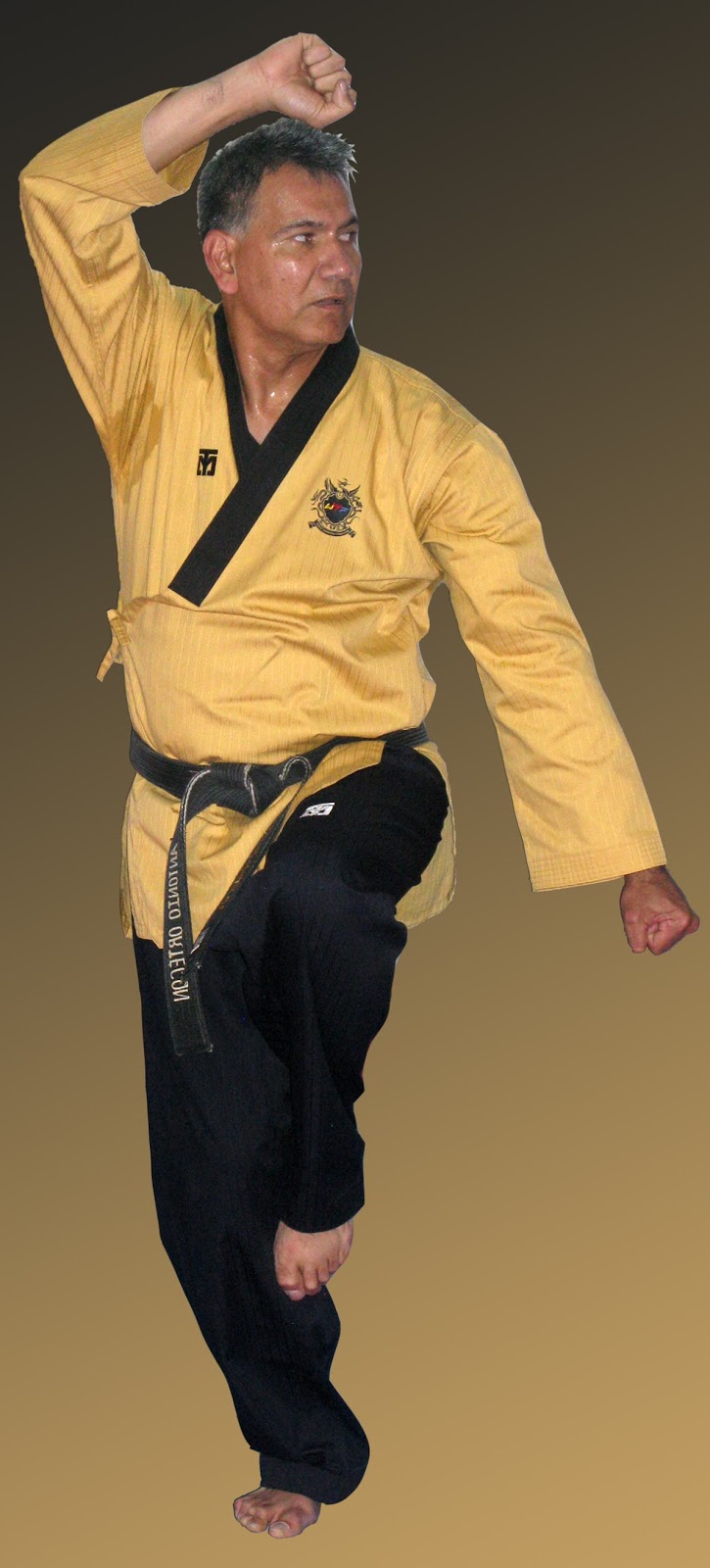 JUNGSHIN KWAN julio 2013