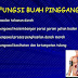 Suplimen Untuk Membantu Buah Pinggang Sihat