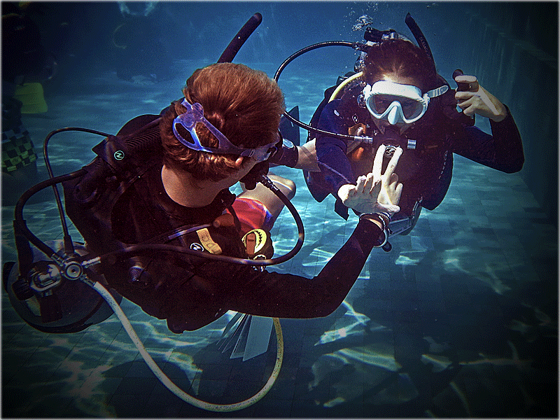 PADI IDC Indonesia Trawangan Dive What it means to be a PADI Scuba