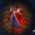 Δείτε πώς λειτουργεί η καρδιά μας και πως αυτή αντλεί το αίμα σε δύο ελληνικά 3D βίντεο