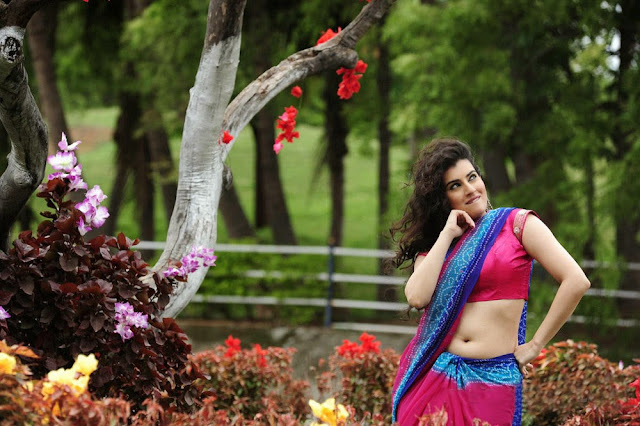 actress archana harish hot saree navel images actress archana harish hot saree navel images