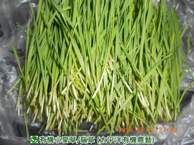 �p��,�߯�ش�,�߯�شӤ�k,�߯�,�߯�O����,�߯�diy,�߯�p����,�߯����,�^�K���@�k,�ؿ߯�