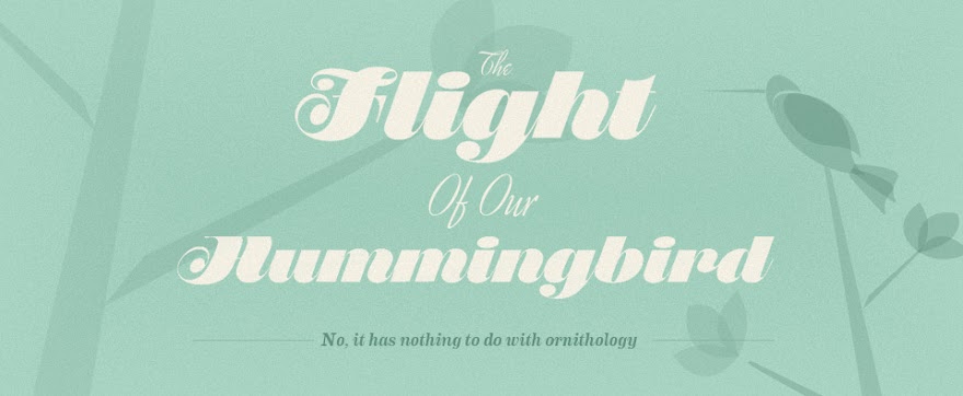 The Flight of our Hummingbird