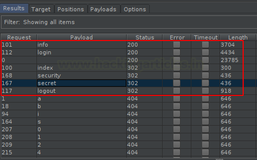 Burp Suite Fuzzing with Intruder