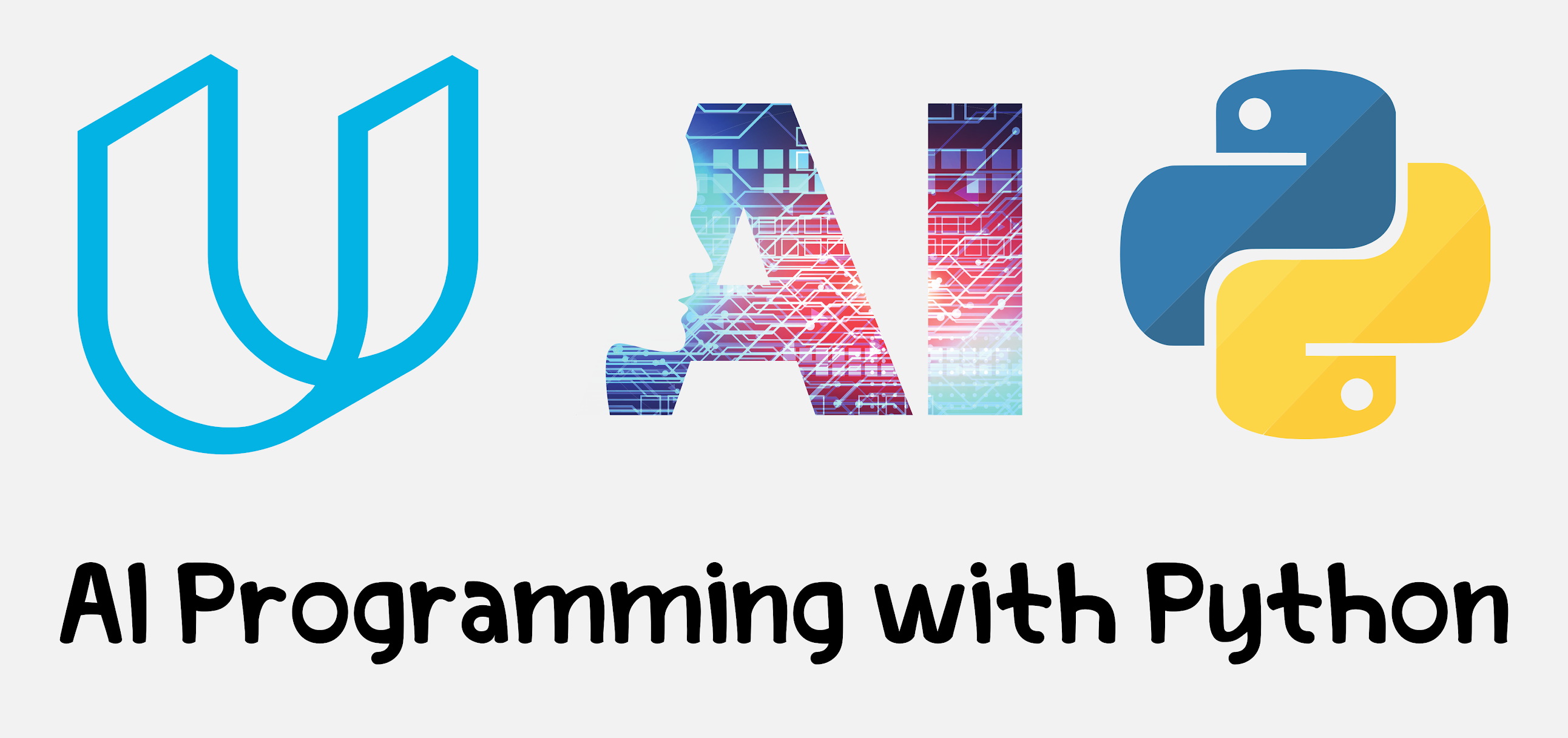 free Udacity course | AI Programming with Python