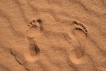 Mis pies libios