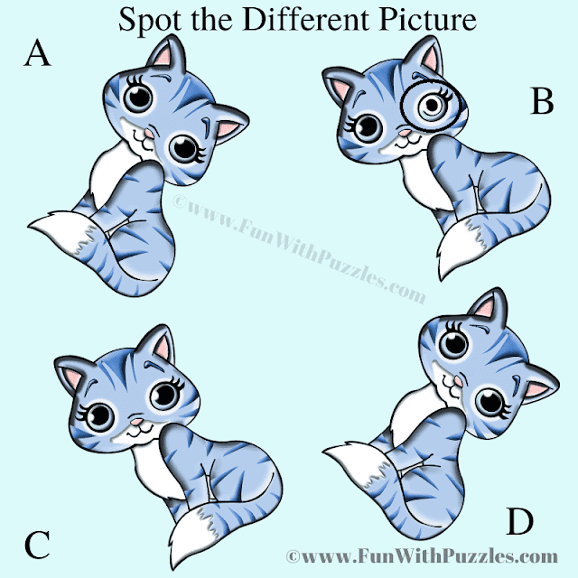 Can You Find the Odd One Out?: Whatsapp Fun Cat Puzzle Answer