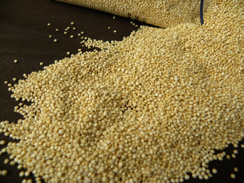 TRASTEANDO EN MI COCINA QUINOA QUÉ ES Y CÓMO SE COCINA