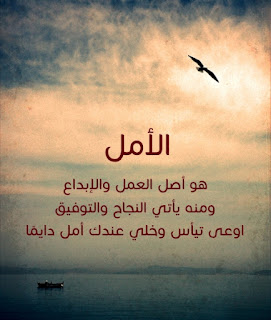 d3832b618af6d81