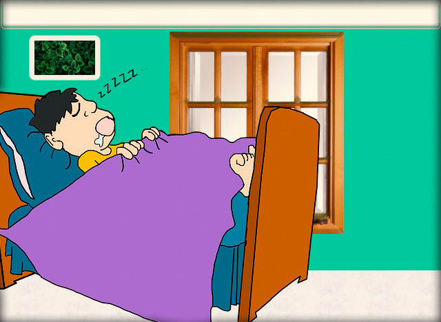 Troubled by snoring? Follow these home remedies for a solution Troubled by snoring? Follow these home remedies for a solution
