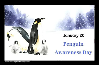 World Penguin Awareness Day 2021