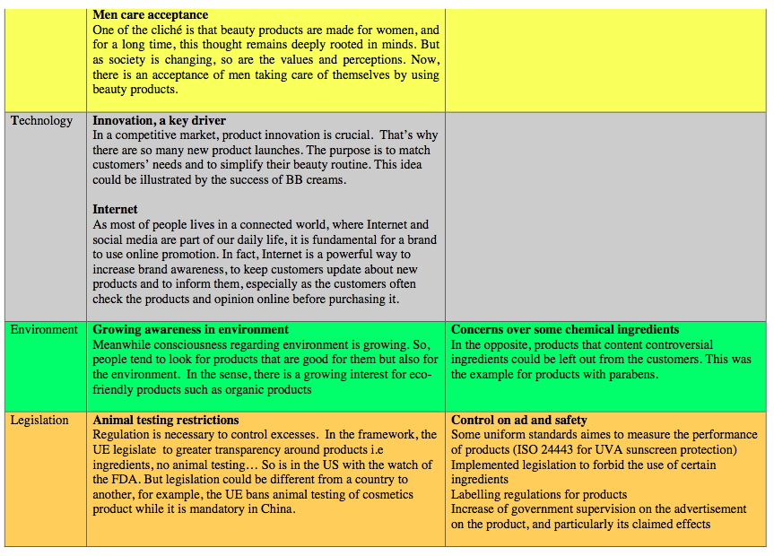 Princessa beauty products case study analysis essay 03 image