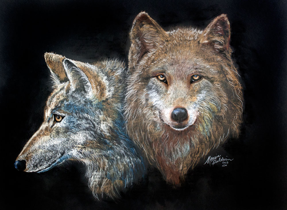 Волк картина маслом. Волк маслом на холсте. Волк оригинал. Морда волка арт. Волк живопись.