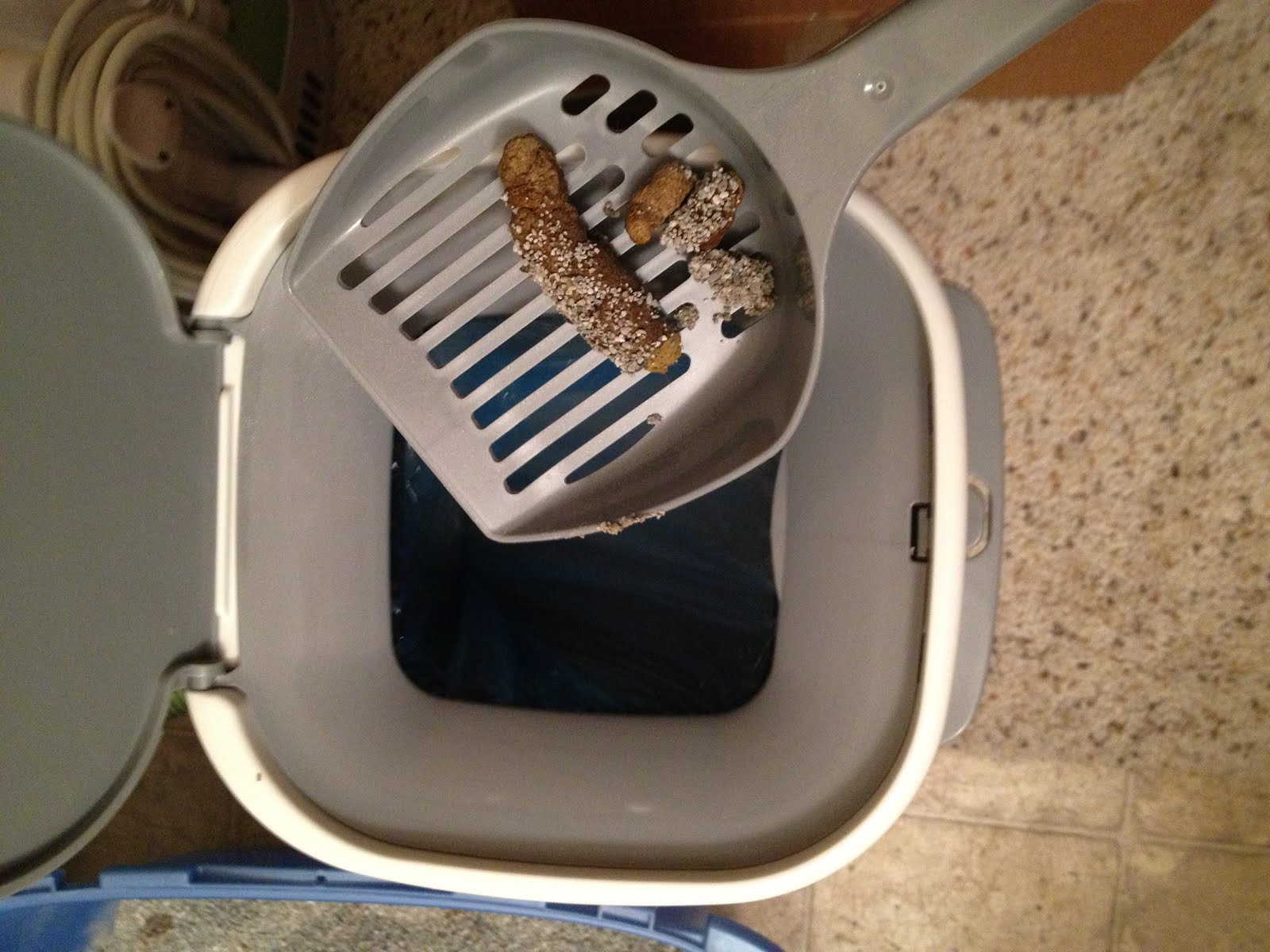 My Cat Boys Litter Genie First Time User How To