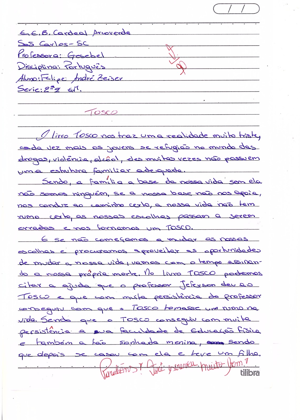 Resumo Sobre O Livro Tosco - NAZAEDU