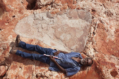 Nih Di Australia Ditemukan Jejak Kaki Dinosaurus Terbesar Di Dunia