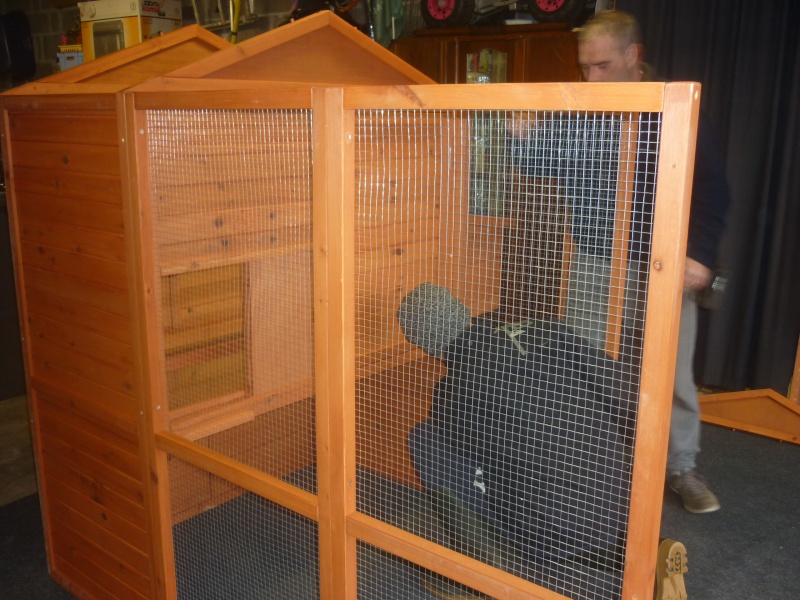 EL BLOG DE LA ELENA. UN BLOG DULCE, DIVERTIDO Y ENTRETENIDO: Gallinero