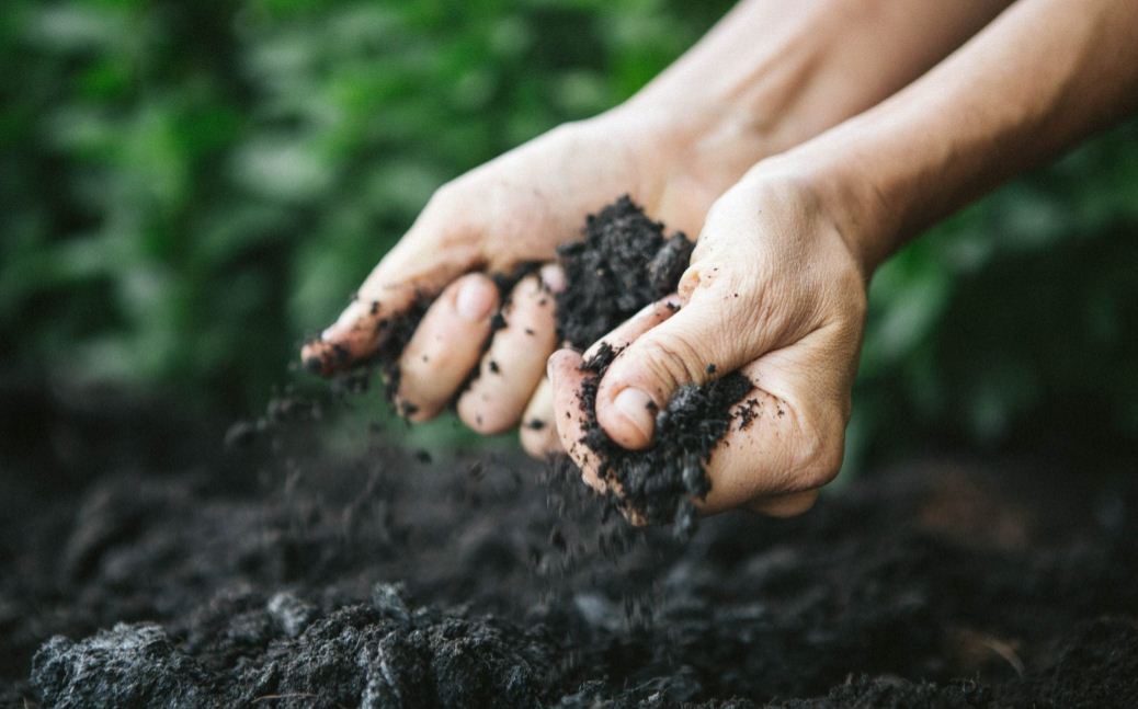 20 Jenis Tanah di Indonesia dan Gambarnya Lengkap!