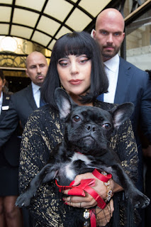 mascotas de Lady Gaga fueron robadas por secuestro