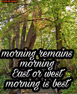5 great morning non copyrighted pictures for youtubers and site creators 5 great morning non copyrighted pictures for youtubers and site creators