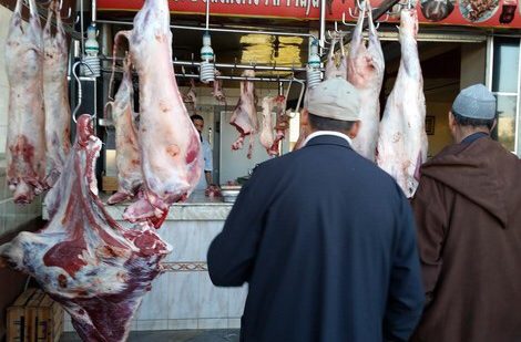 تقرير مجلس جطو يكشف تفاصيل خطيرة بخصوص مراقبة اللحوم والحليب
