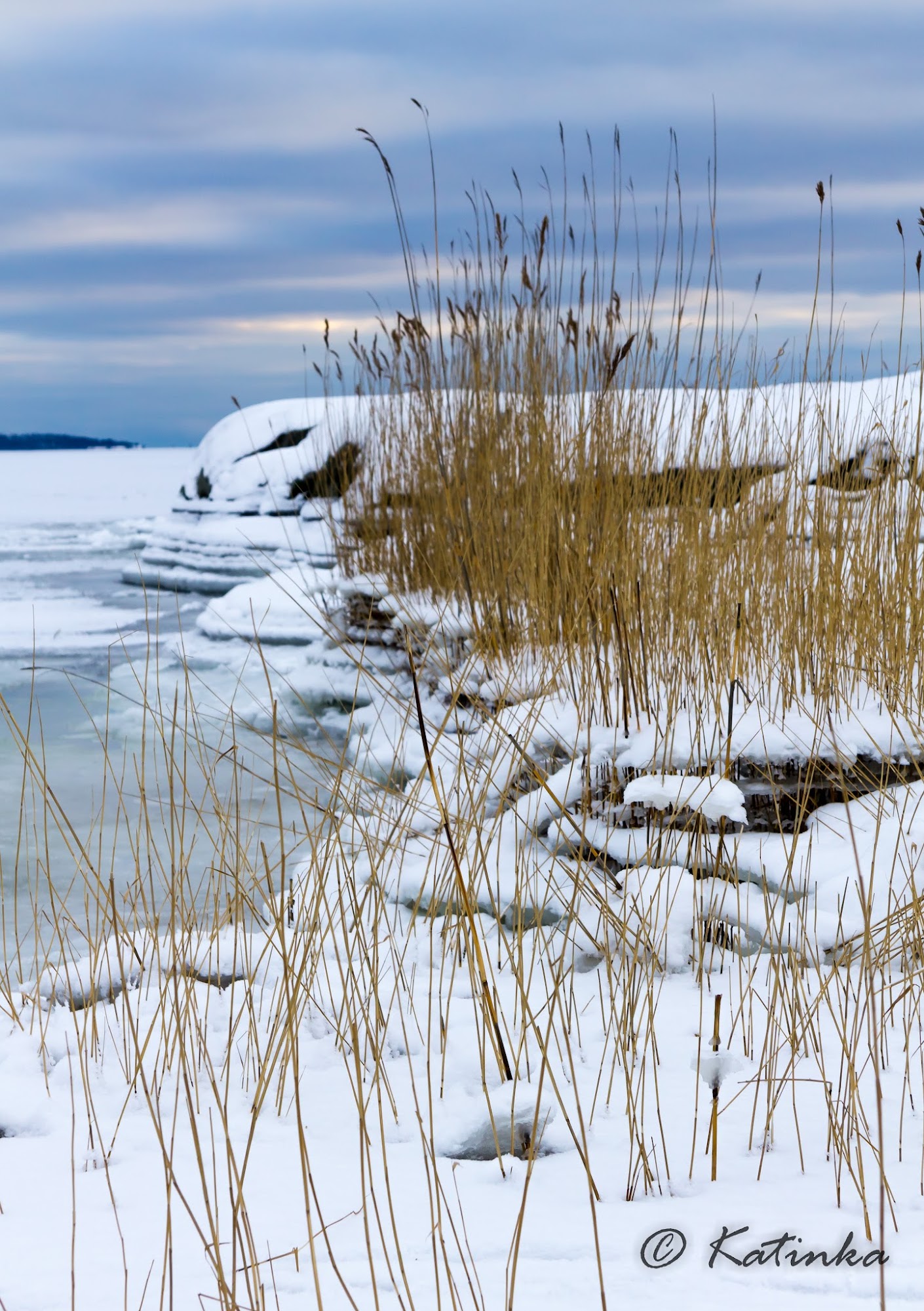 Haaveena hyvä kuva Liuskasaari