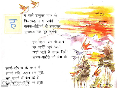 hm panchhi unmukt gagan ke kavita ka sar, prashn uttar