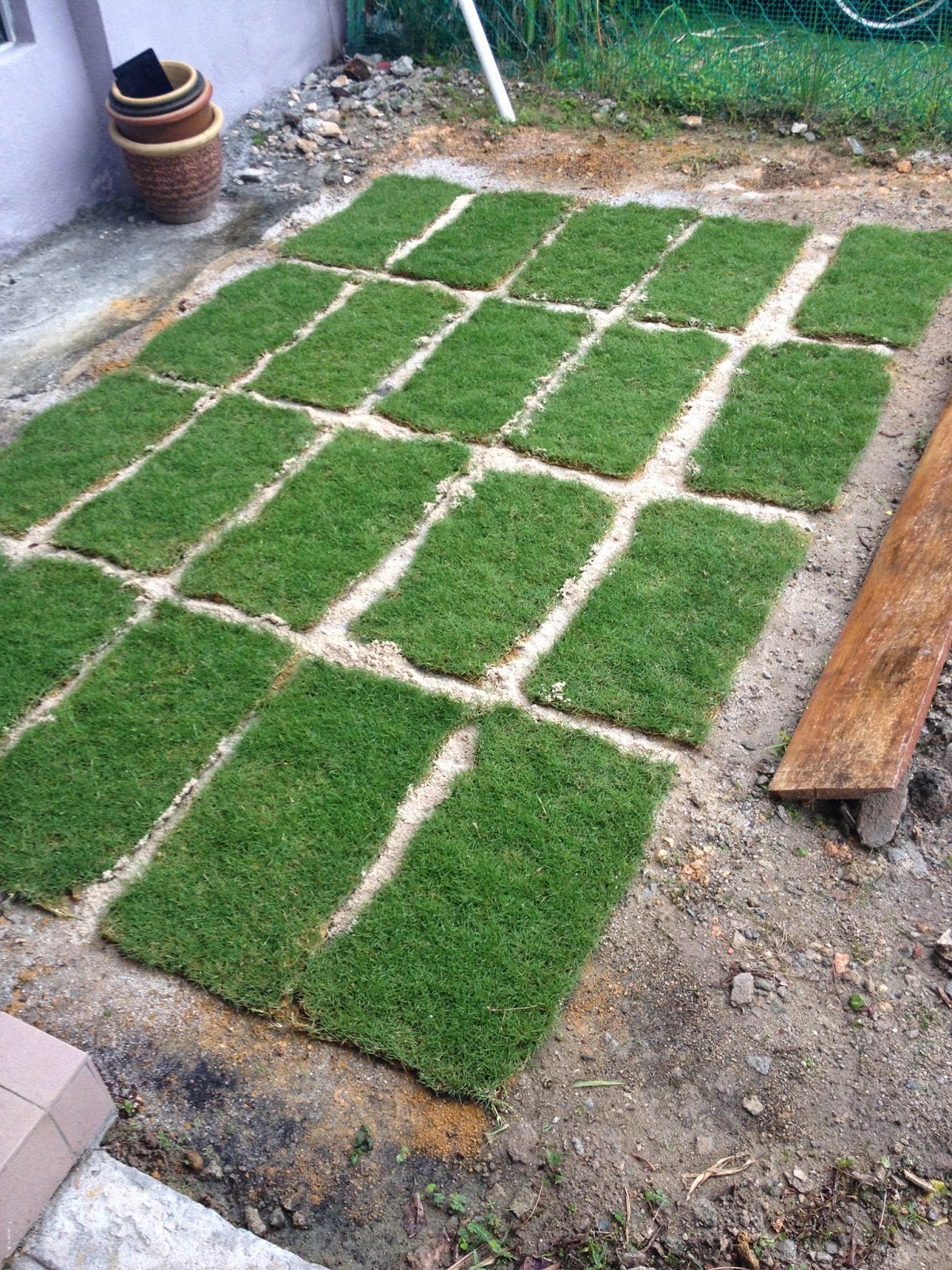 Flay Away From Here Carpet Grass