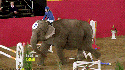 코끼리의 점프력.gif