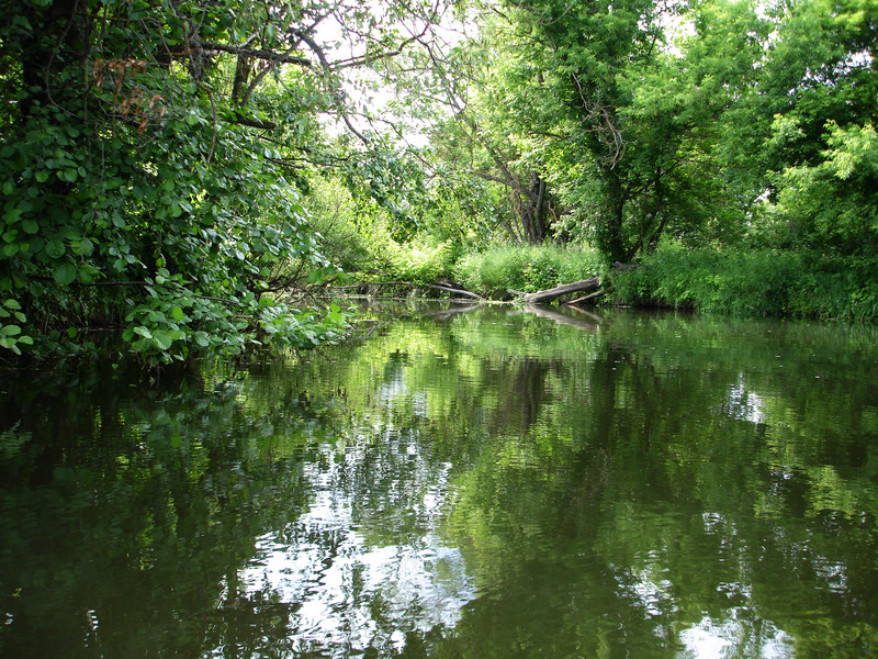 Река ворсклица