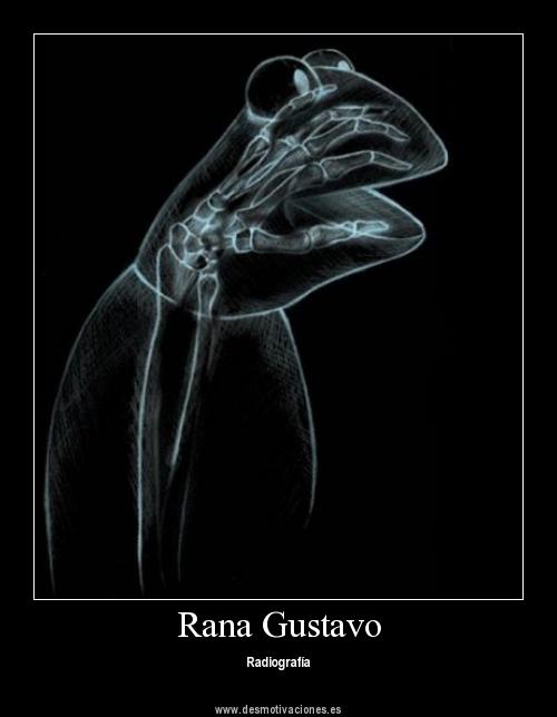 Naturaleza Trivial: Prueba de la rana y del rano