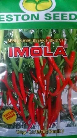 Kebal Virus, Anti Virus, benih petani,tahan virus, Cabai Imola, Cabe Imola, Eston Seed, buah lebat,  tahan layu, tahan cekaman calcium, Harga murah