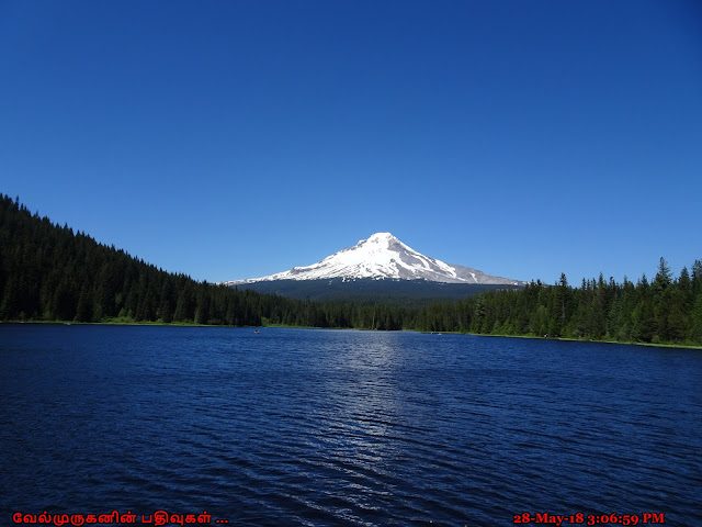 Oregon Trillium Lake