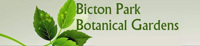 Bicton Park Botanical Gardens Official Site