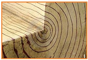 Dunia Jawaban Raja Singasari Yang Mengirim Ekspedisi Paramalayu Adalah