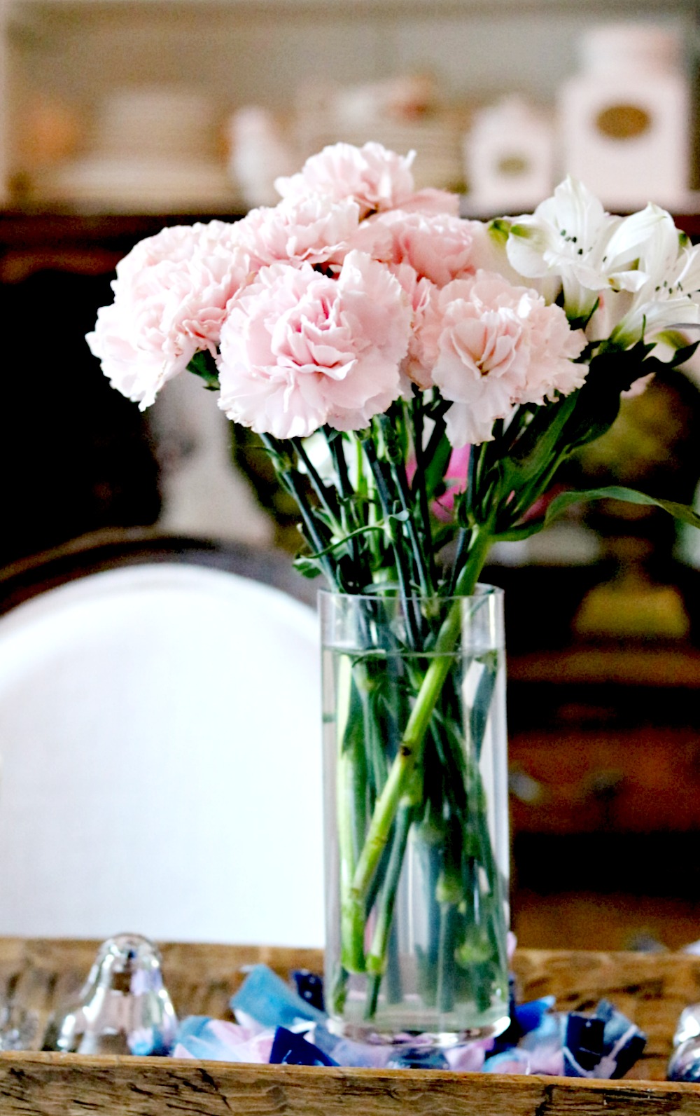 Growing Carnations For The Home and GardenGardening Series 1 At Home