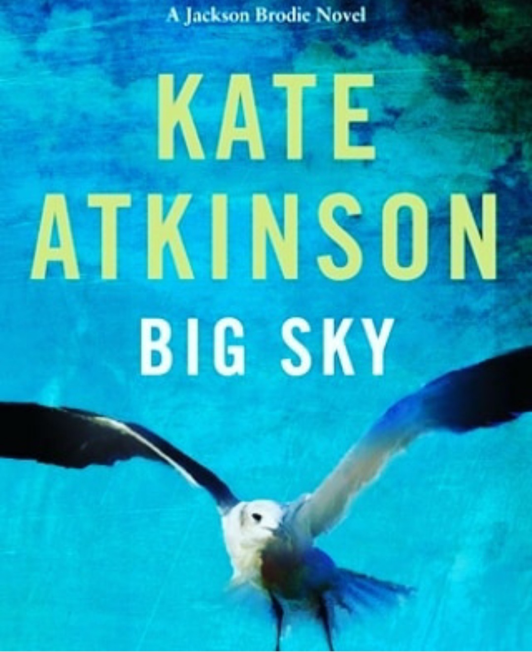 аткинсон кейт "большое небо". ингви аткинсон архивариус. поворот книга аткинсон. кейт аткинсон книги по порядку джексон броуди. аткинсон кейт "большое небо".