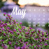 The Month of May