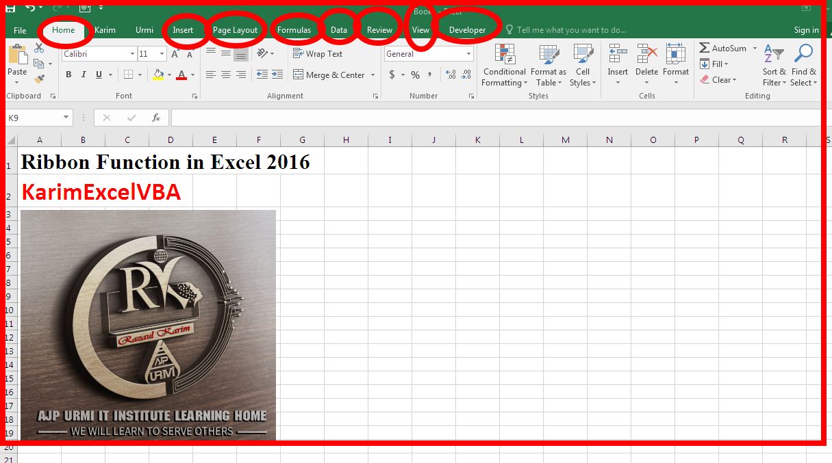 Ribbon Function in Excel 2016