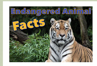 https://www.activewild.com/endangered-animals-facts-for-kids/